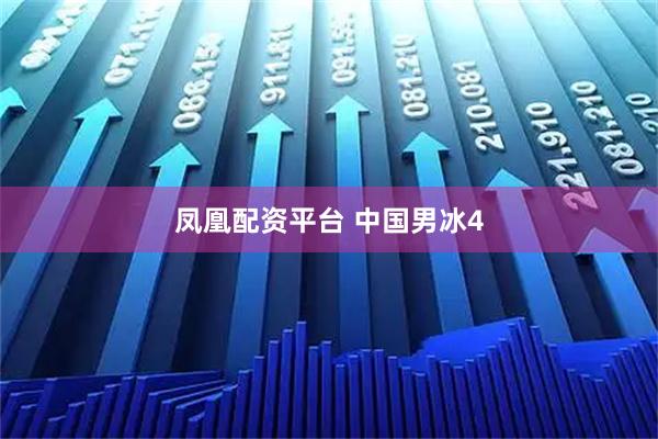 凤凰配资平台 中国男冰4